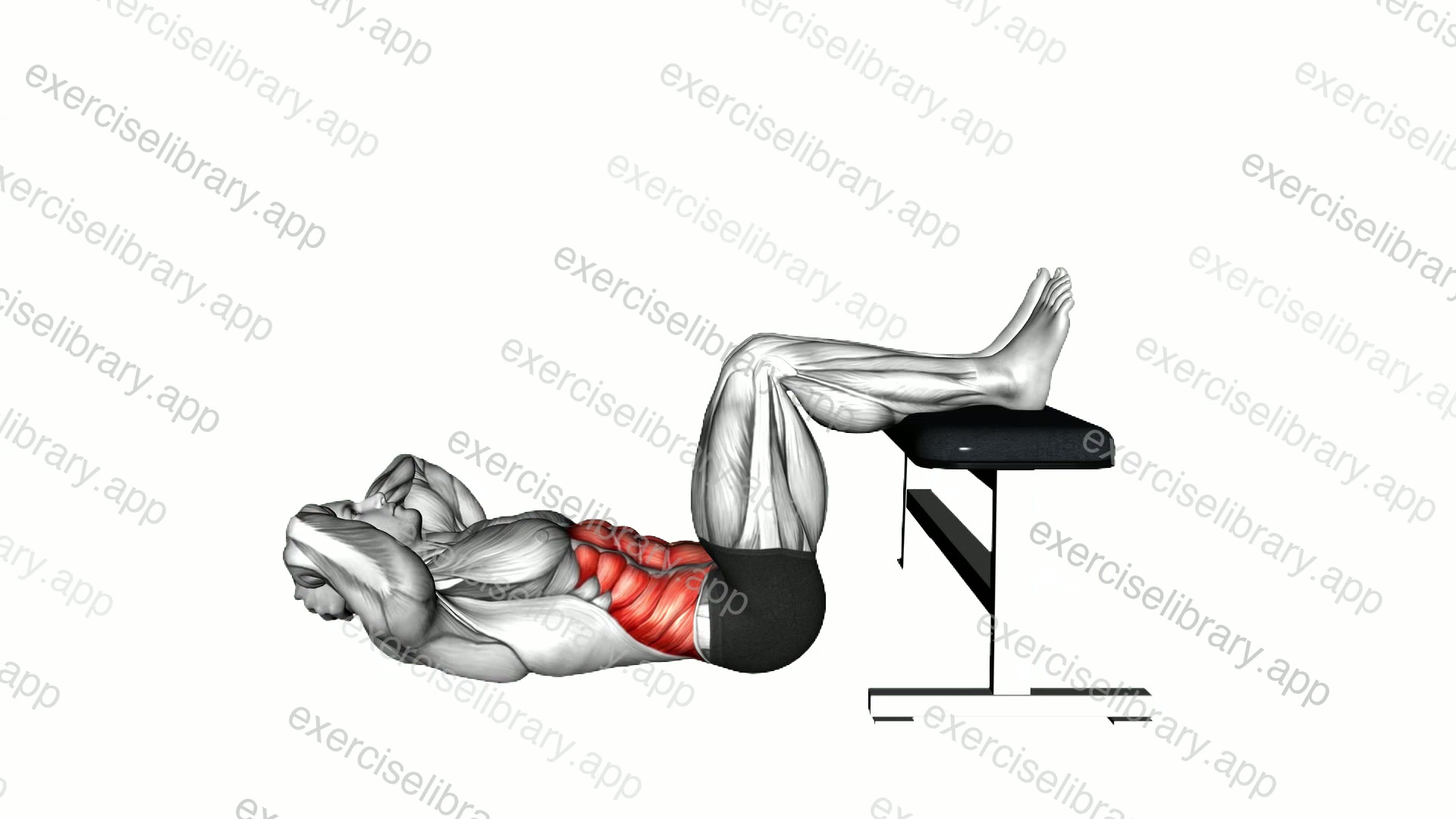 Crunch Hold with Legs on Bench demonstration