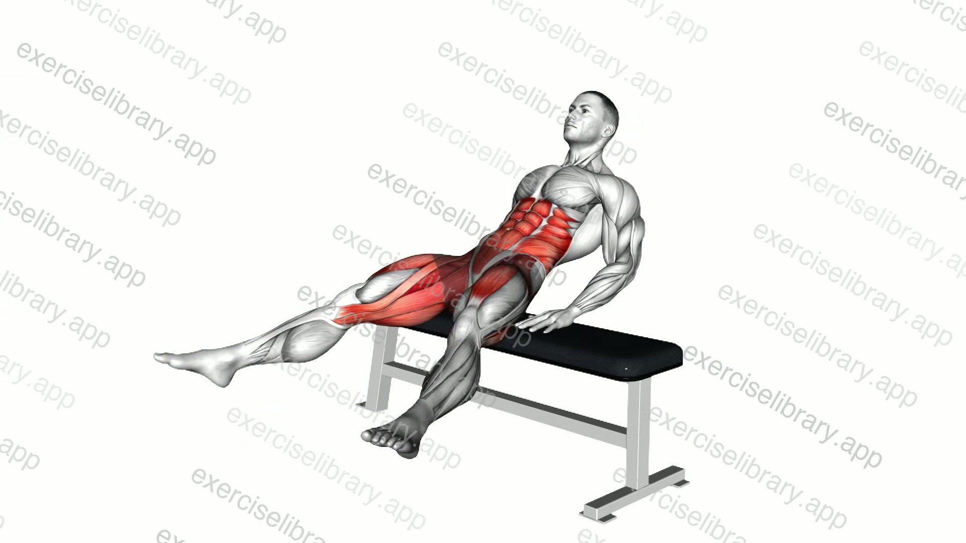 Bench Reverse Crunch Circle demonstration