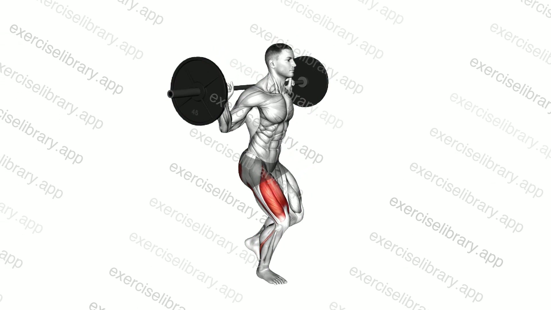 Barbell Single Leg Squat demonstration