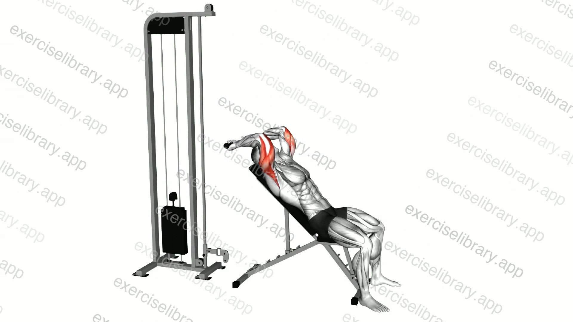 Cable Incline Skull Crusher demonstration