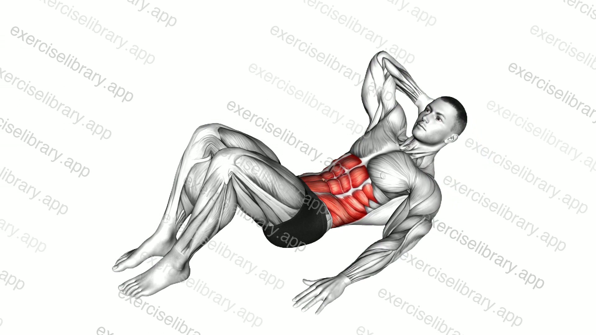 Alternate Oblique Crunch demonstration