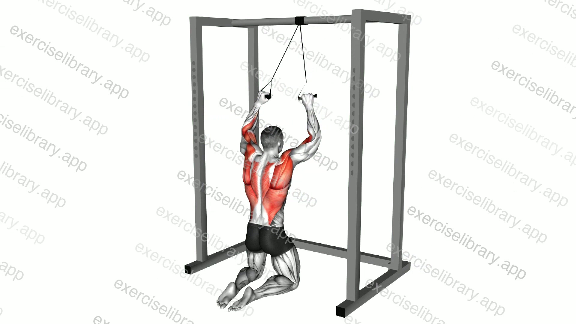 Band Knelling Lat Pulldown demonstration