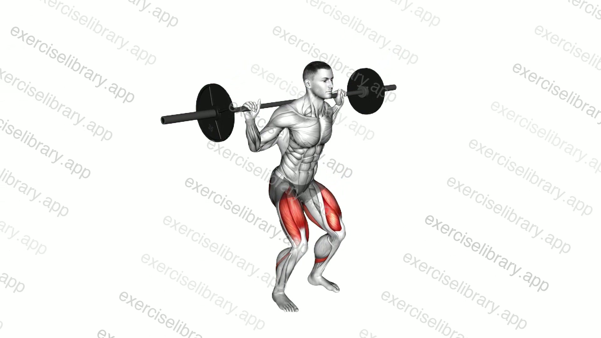 Barbell Squat 2 sec Hold demonstration