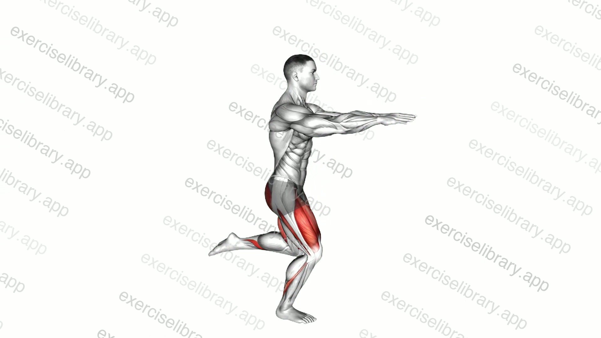 Counterbalanced Skater Squat demonstration