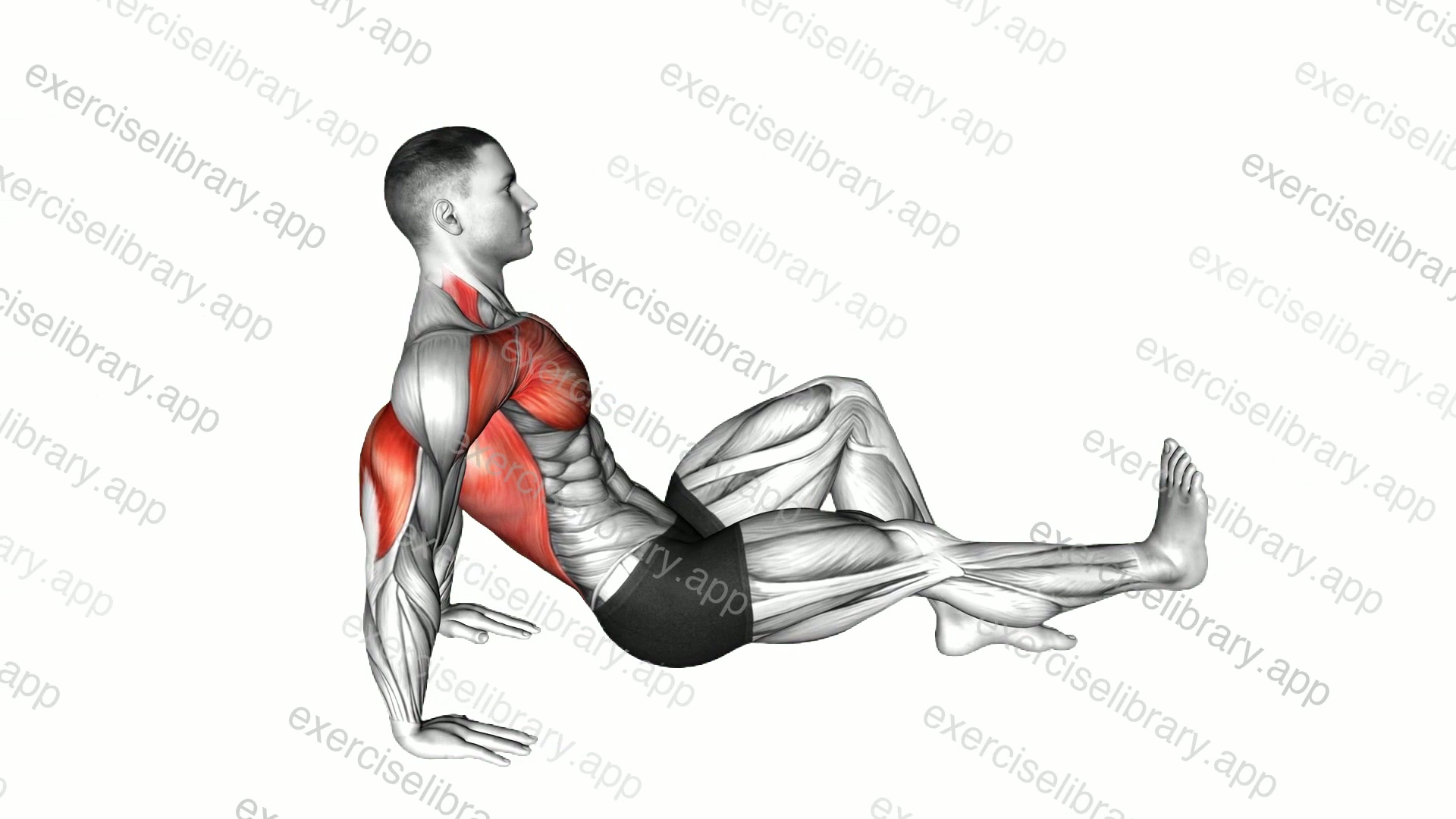 Single Leg Dip on floor demonstration