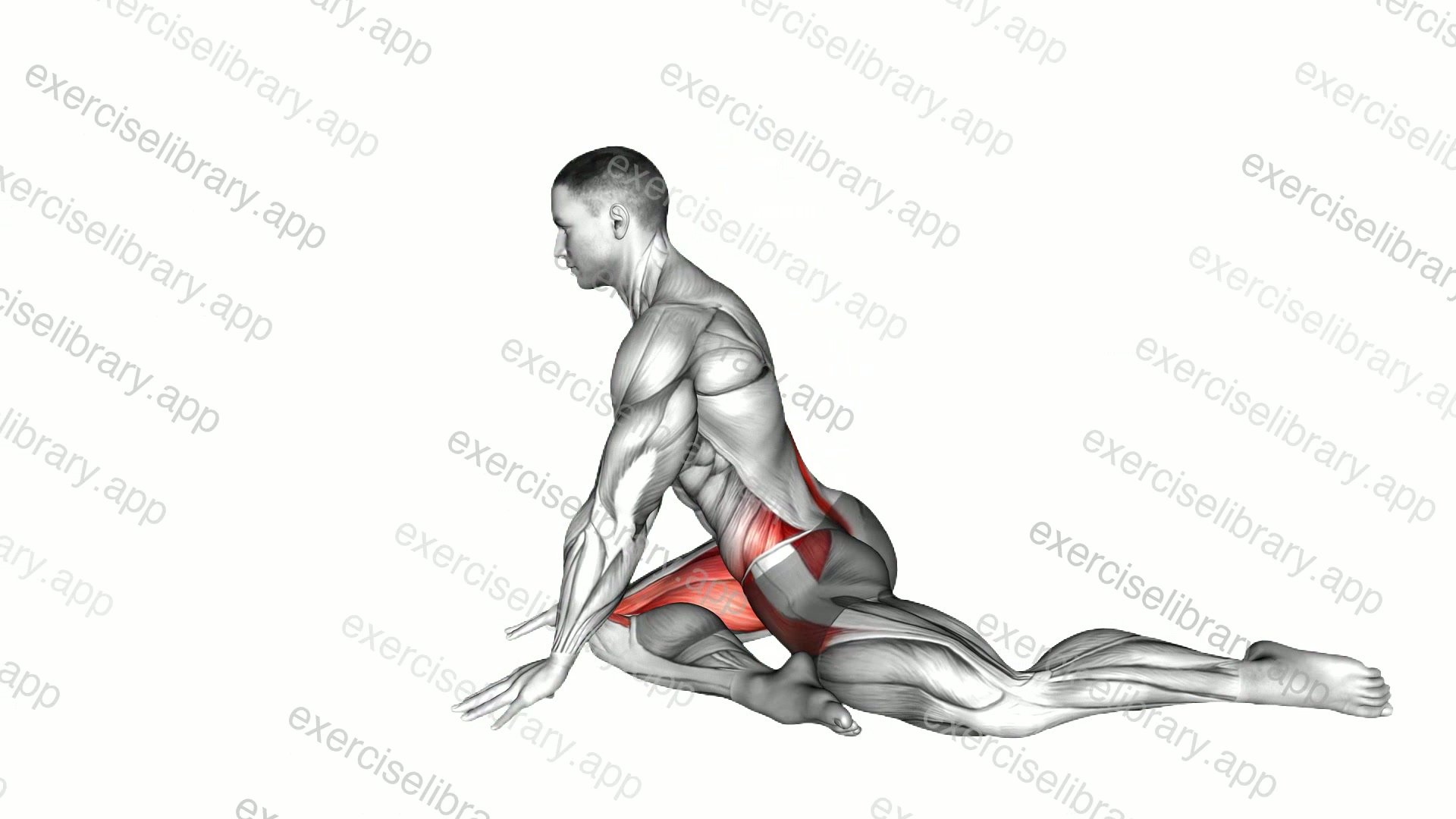 Animal Resting Yoga Pose demonstration