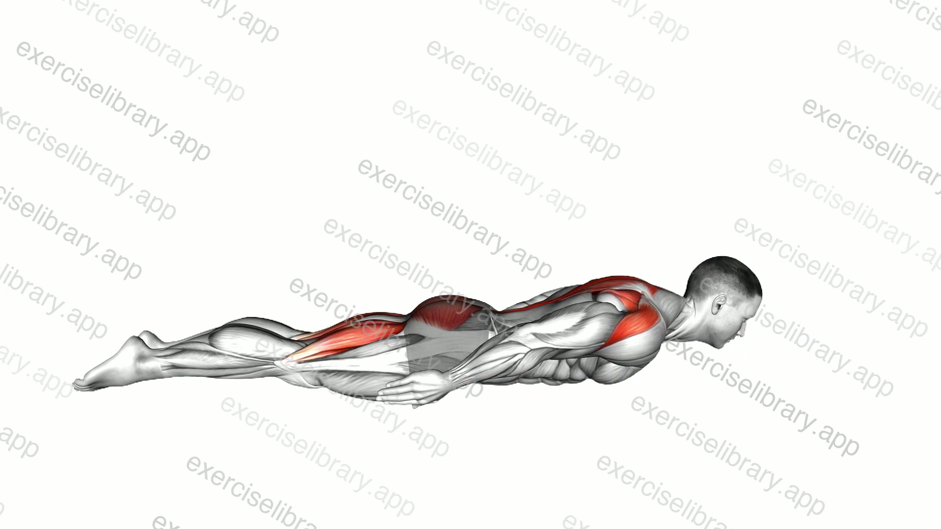 Crocodile Yoga Pose demonstration