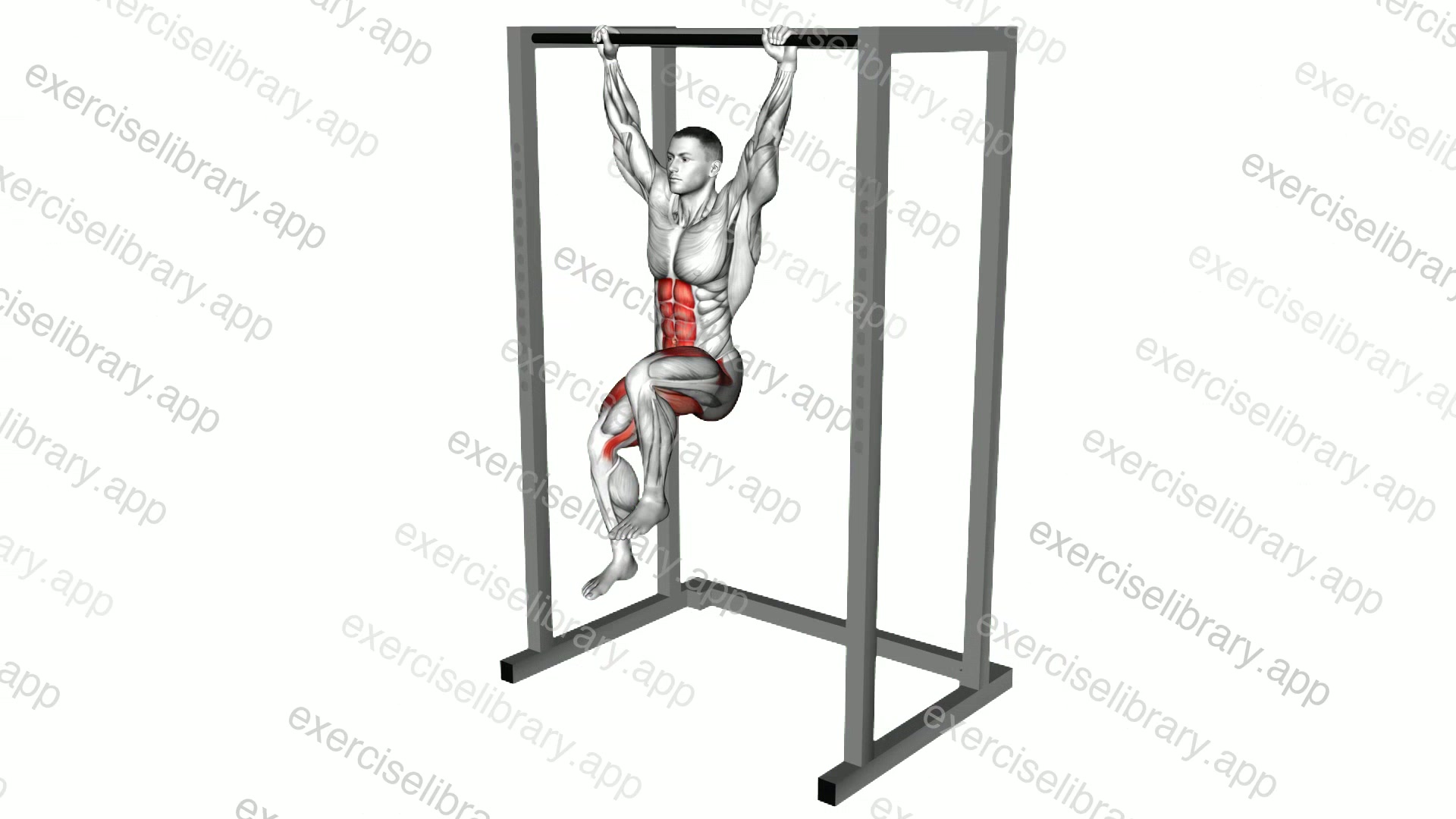 Hanging Deadbug demonstration