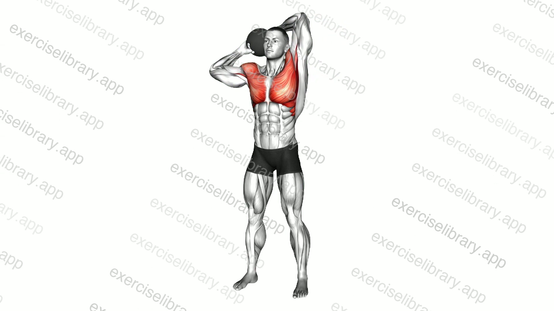 Medicine Ball Around Head Rotation demonstration