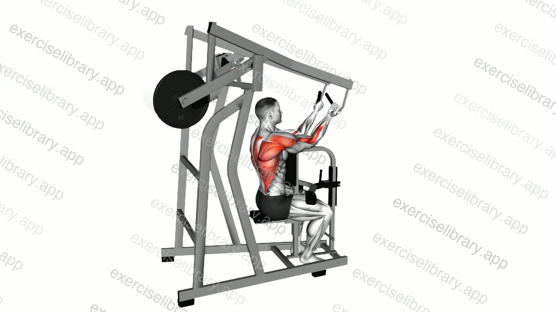 Lever Reverse Grip High Row demonstration
