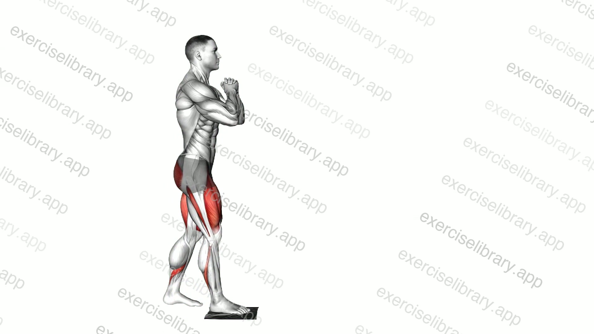 Standing Leg Slide Lunge with Towel demonstration
