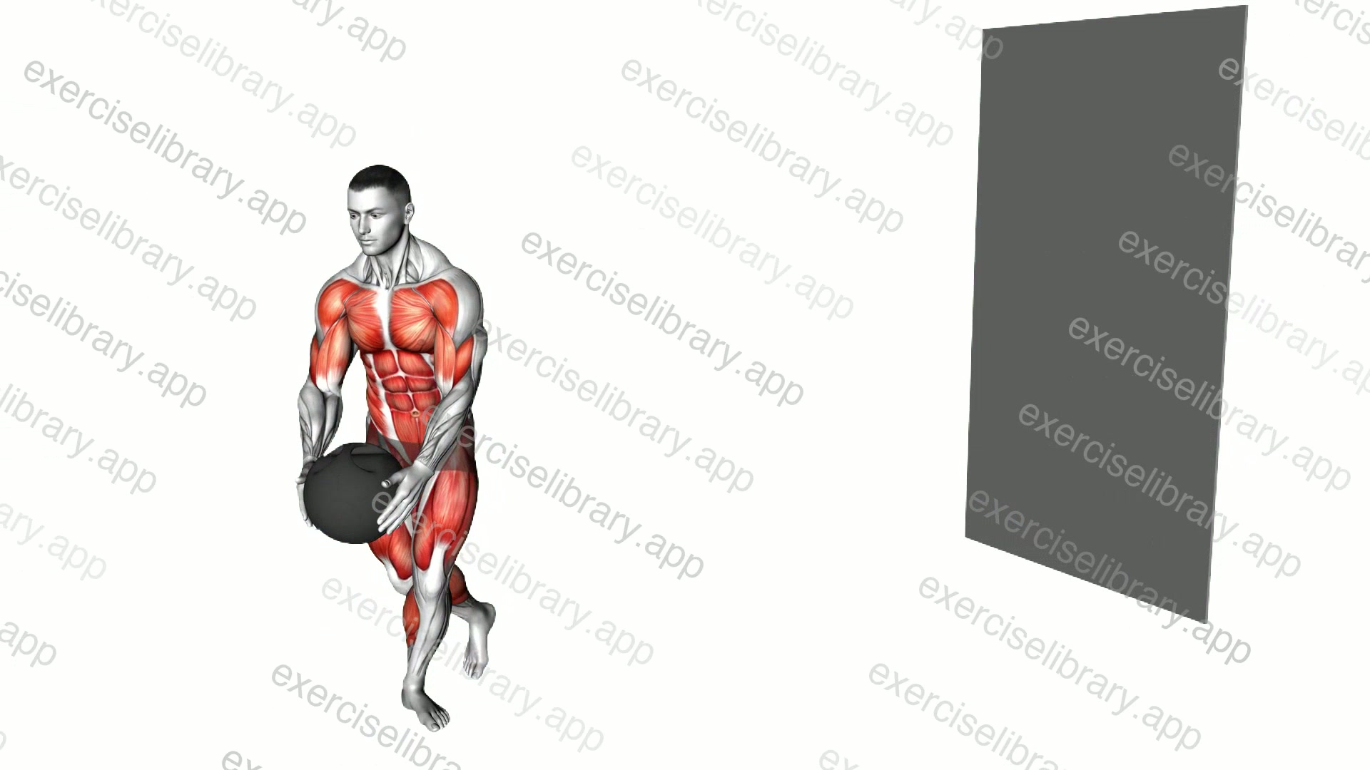 Medicine Ball Step Behind Rotational Throw demonstration