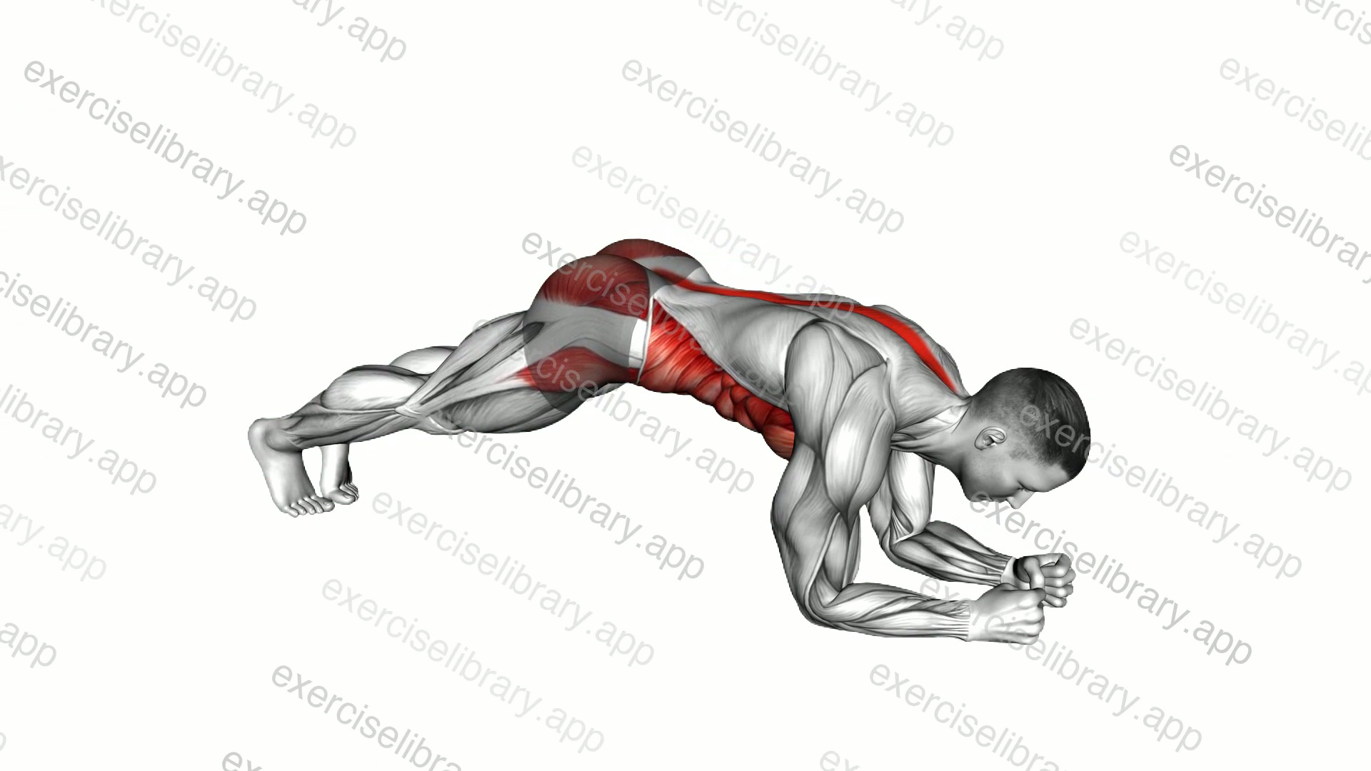 Hip Roll Plank demonstration