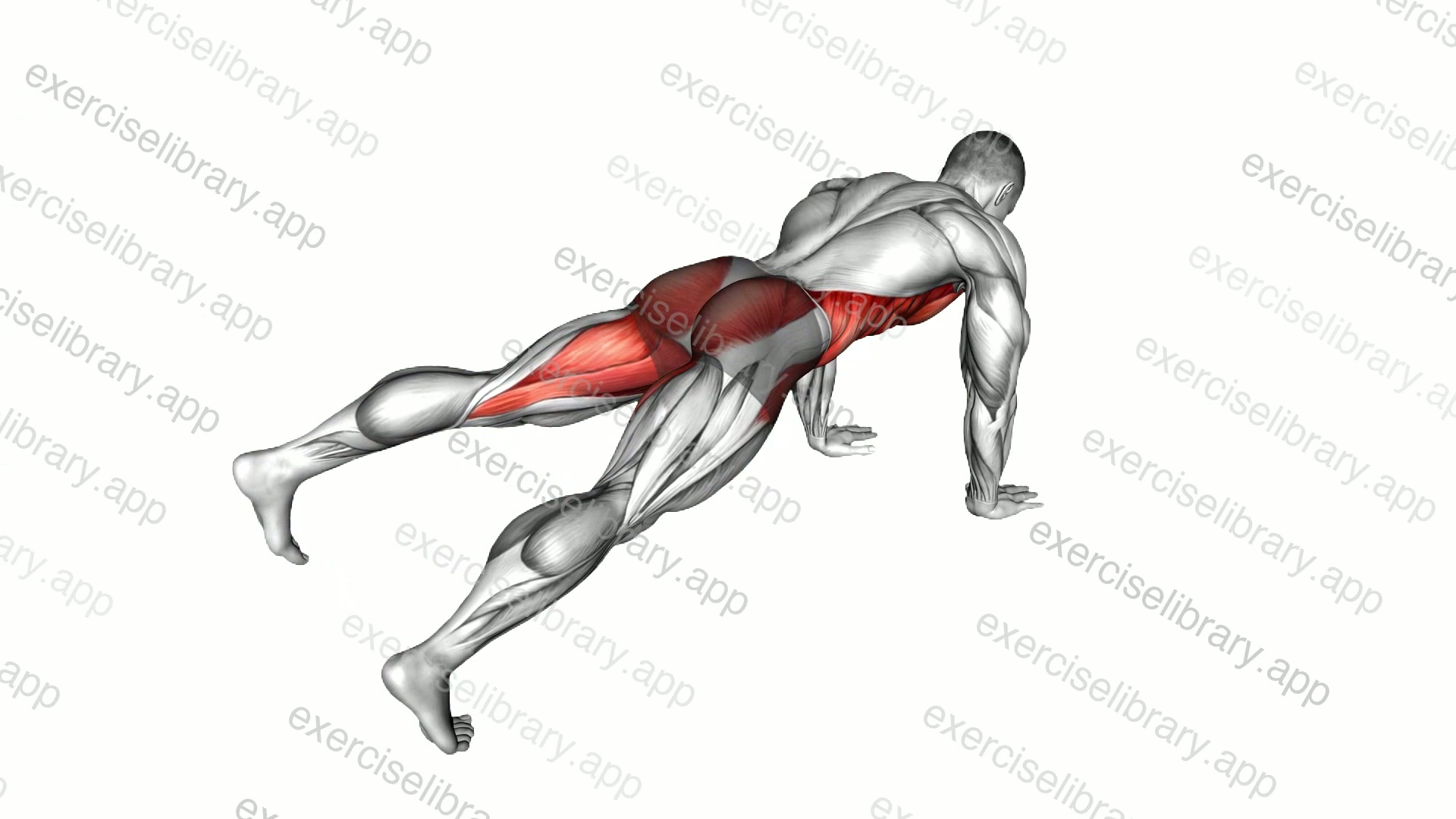 Leg Extension Plank demonstration