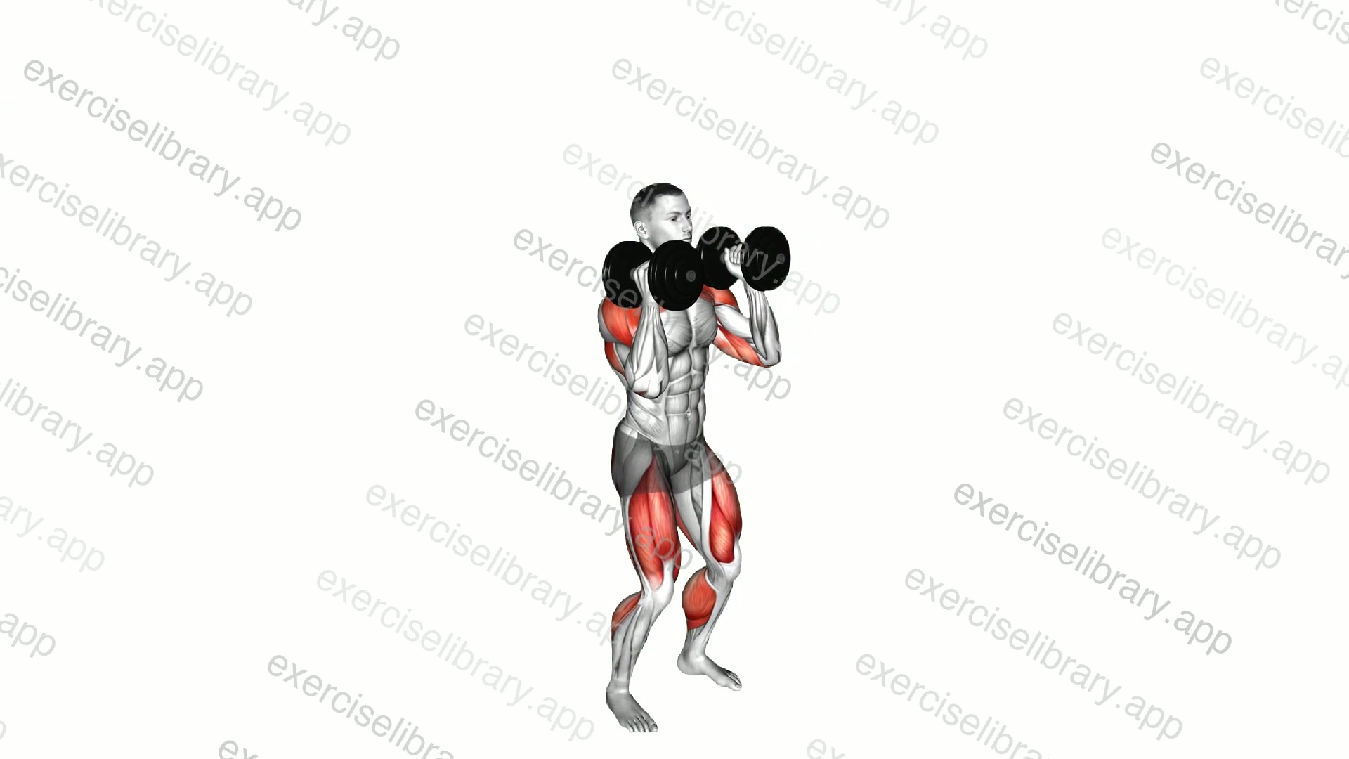 Dumbbell Push Jerk demonstration
