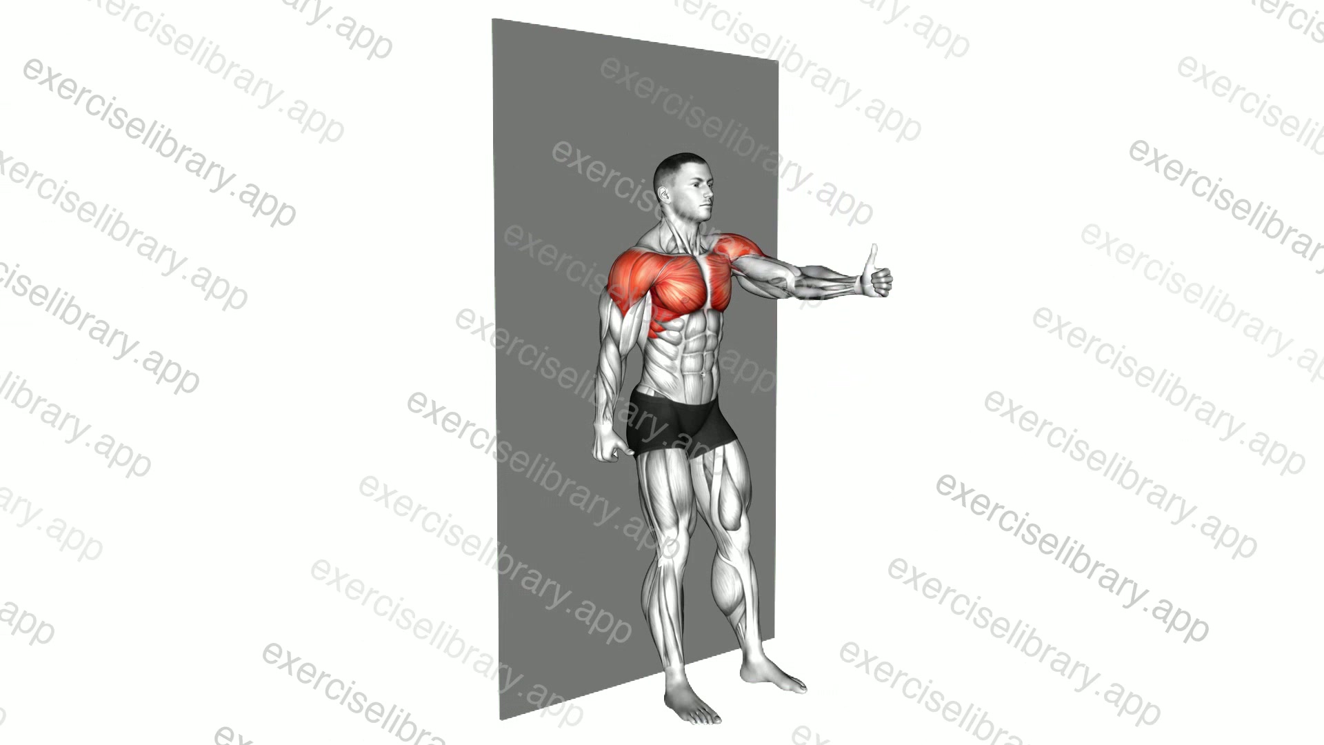 Alternating Shoulder Flexion Back to Wall demonstration