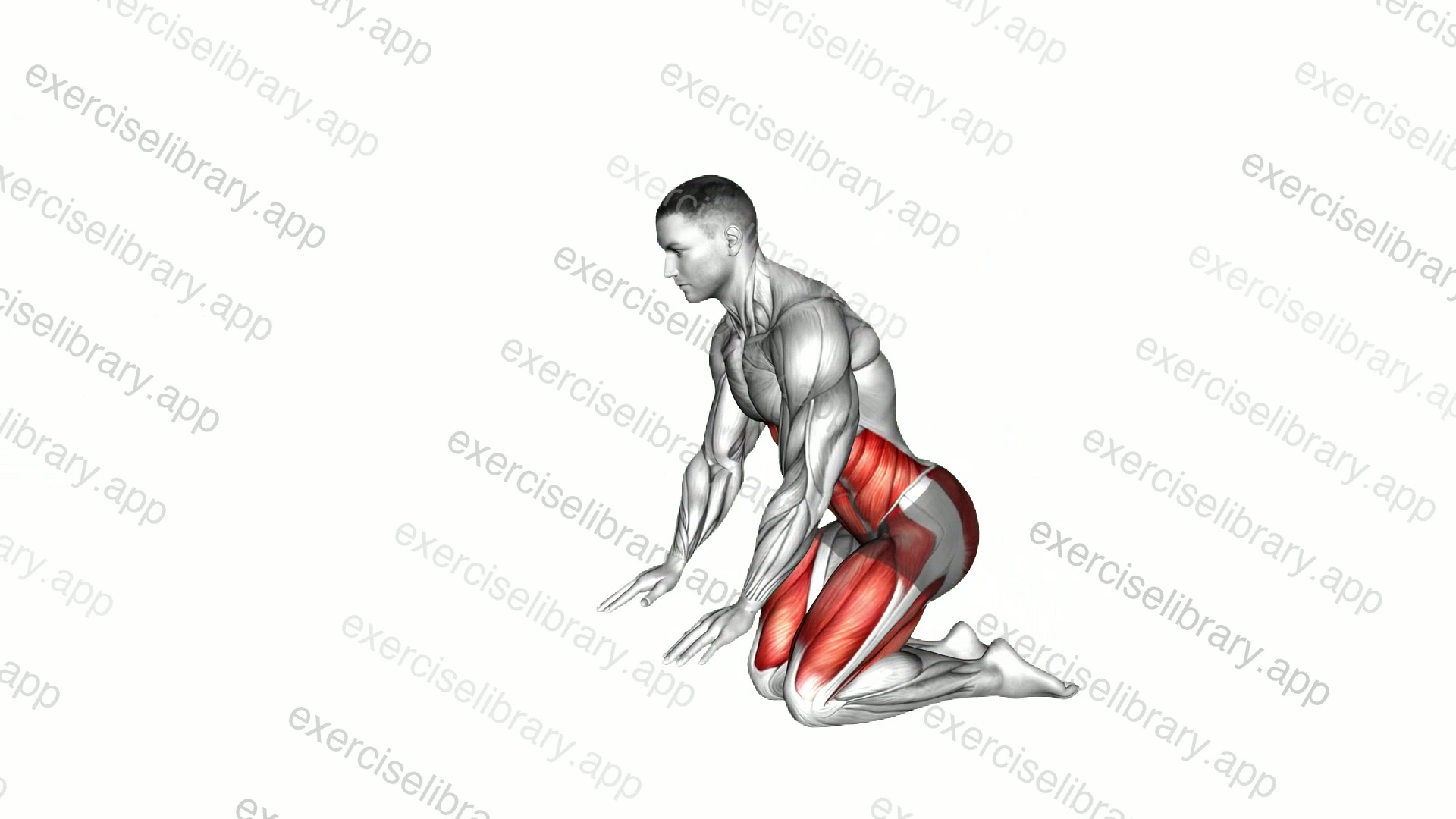 Tiger Yoga Pose demonstration