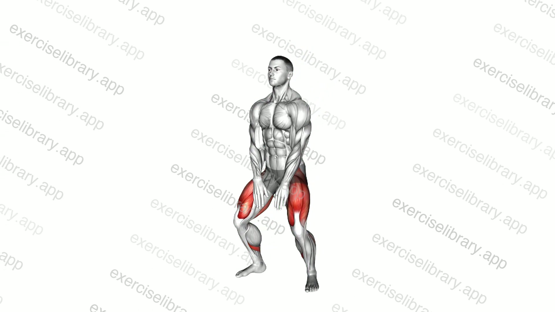 Sumo Squat Floor Touch demonstration