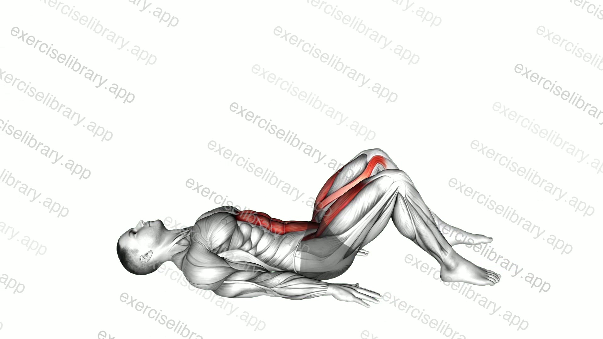 Lying Leg Raise demonstration