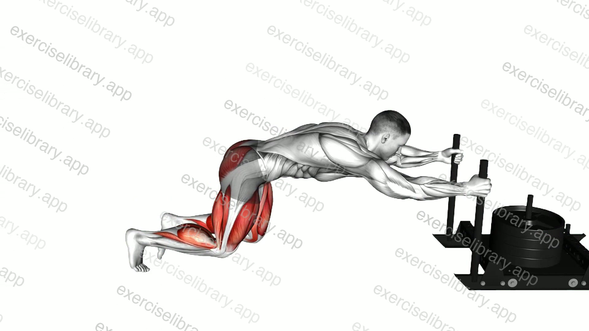Power Sled Push demonstration