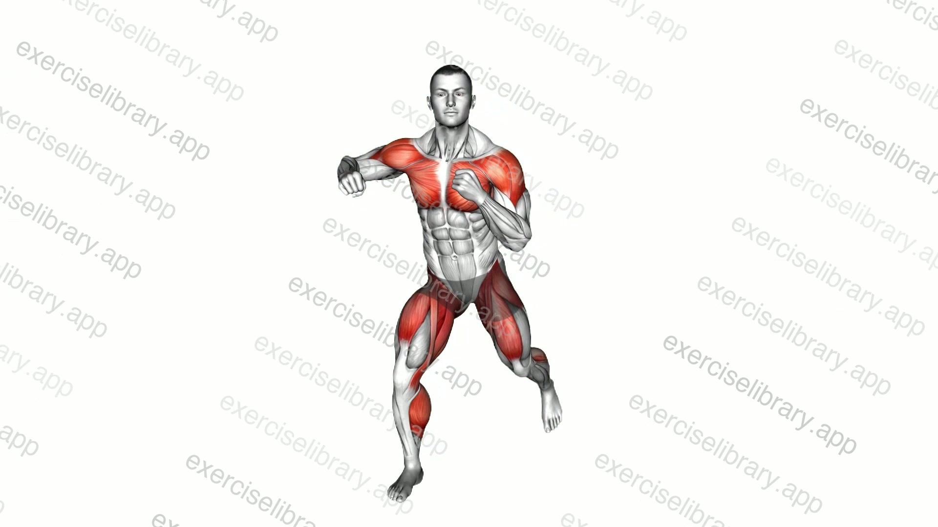 Side Punch with Opposite Leg Lift demonstration