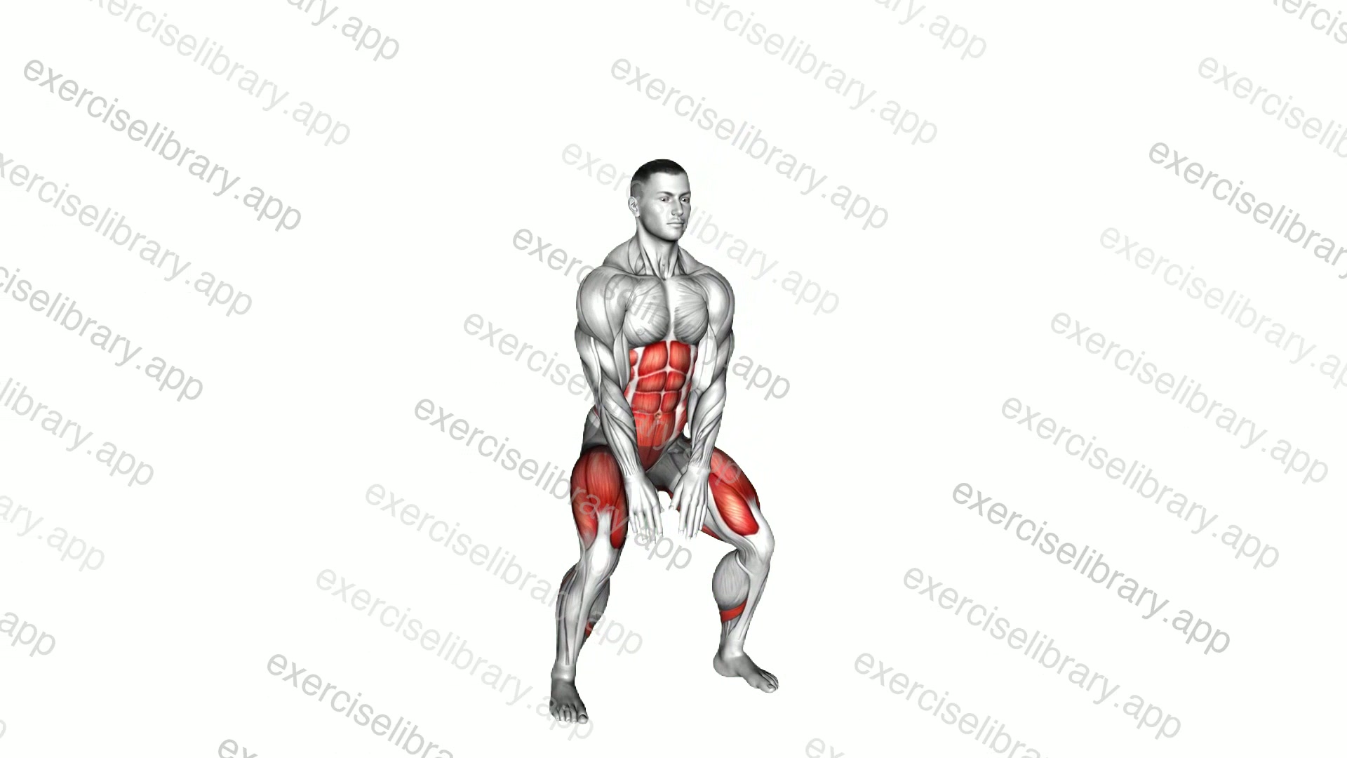 High Knee Squat demonstration