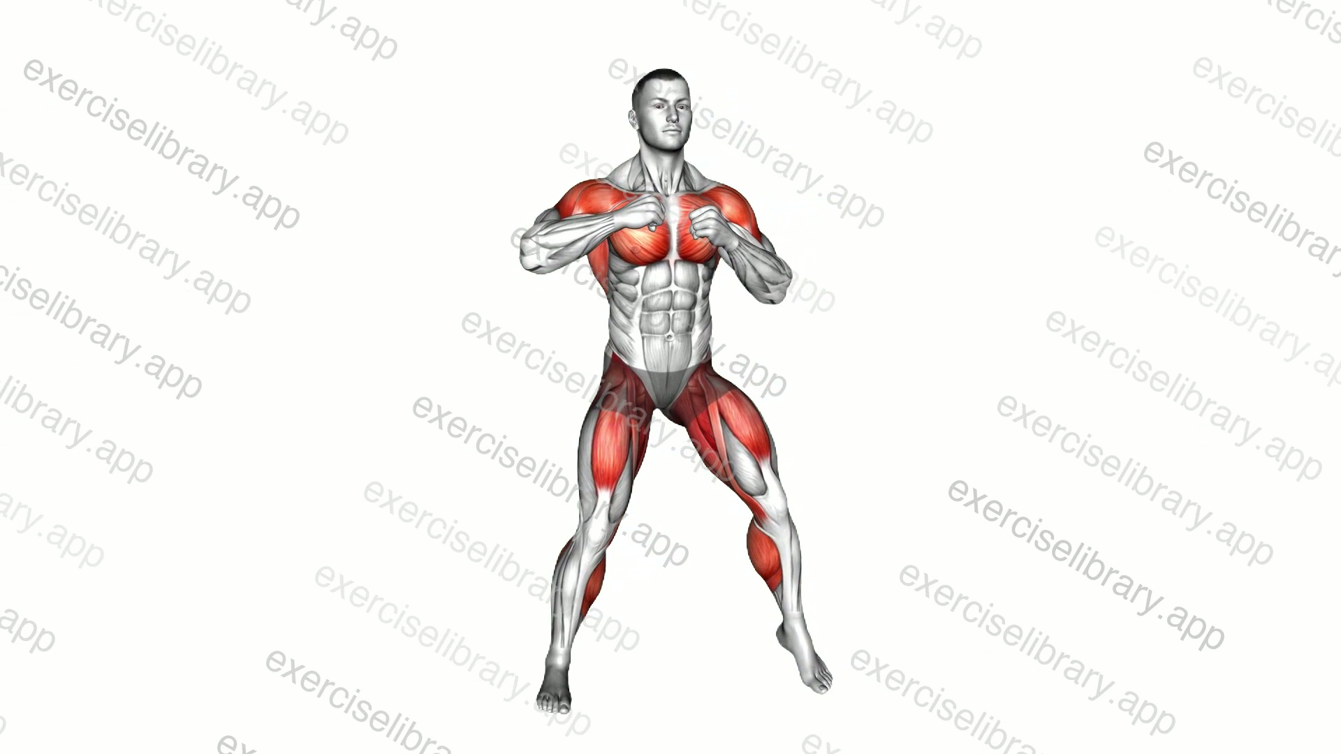 Alternating Hamstring Curl with Punche demonstration
