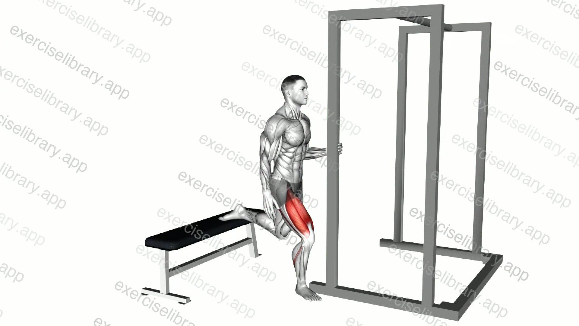 Assisted Bulgarian Split Squat demonstration