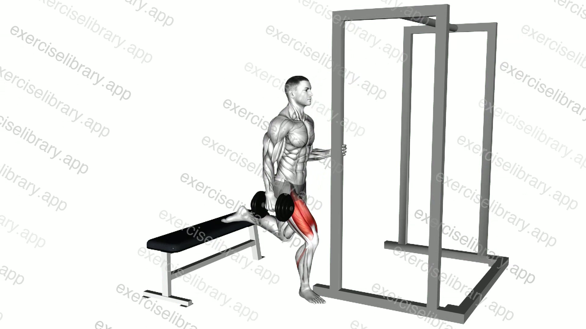Dumbbell Assisted Bulgarian Split Squat demonstration