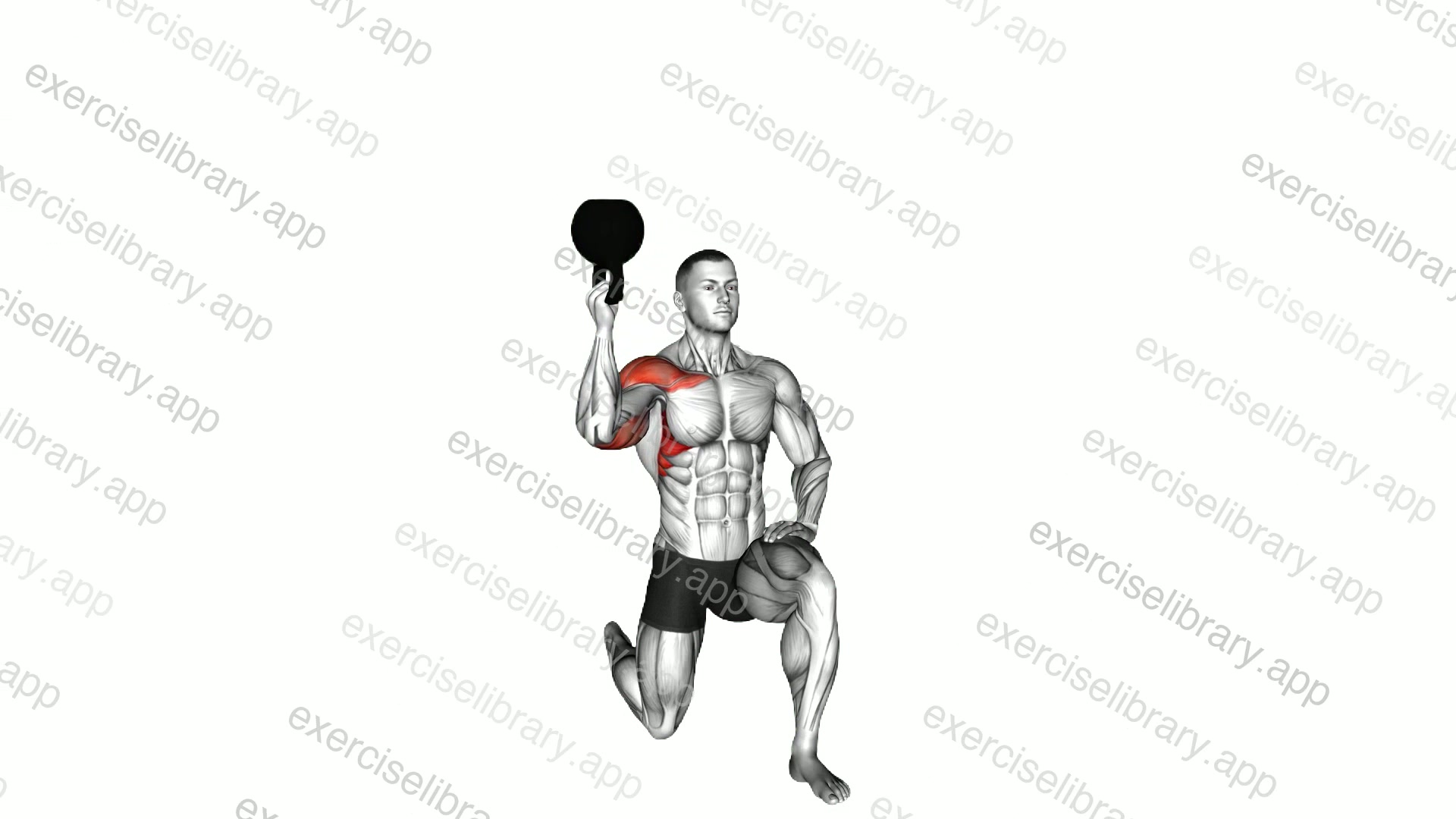 Kettlebell Half Kneeling One Arm Bottoms-up Press demonstration
