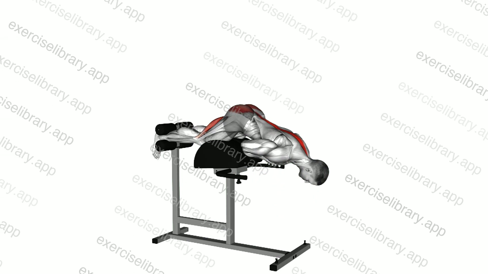 Glute Ham Raise demonstration
