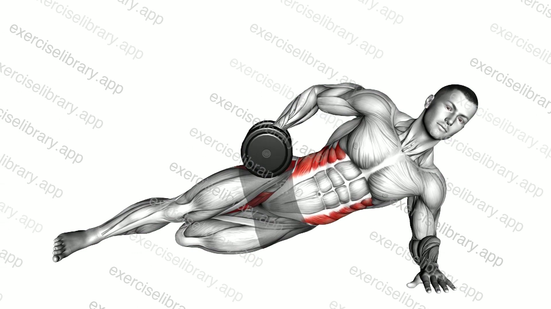 Dumbbell Side Bridge with Bent Leg demonstration