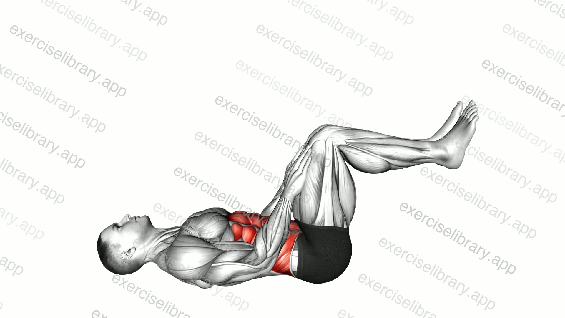 Lying Ab Press demonstration