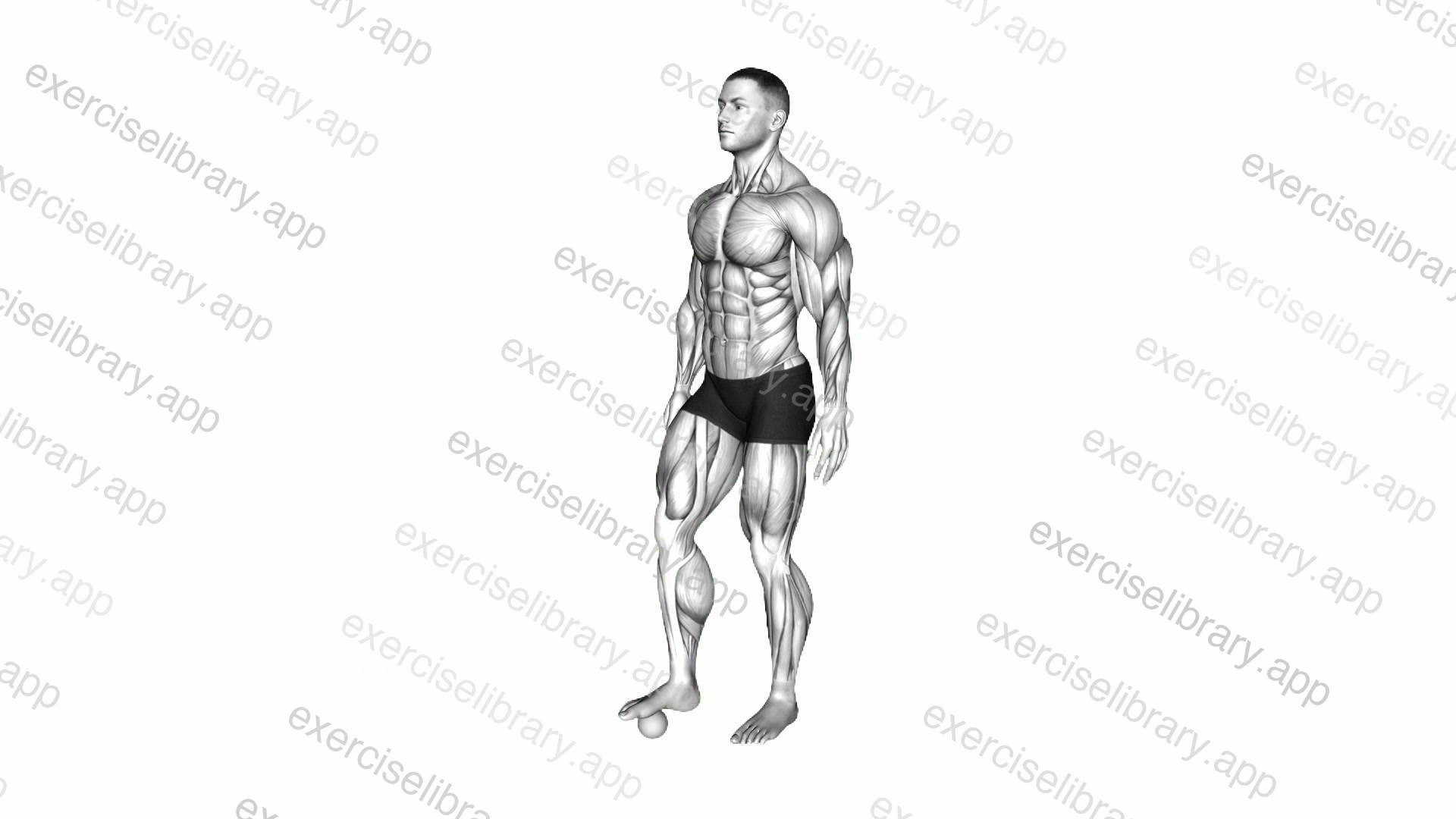 Roll Ball Foot demonstration