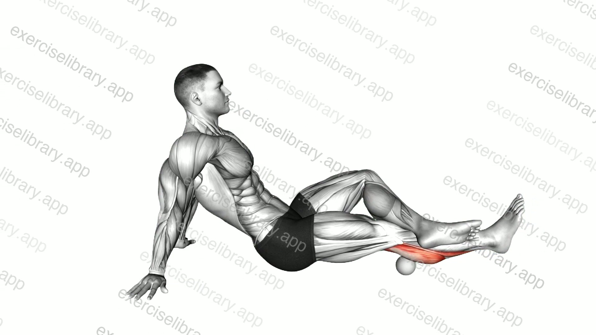 Roll Ball Calf Stretch demonstration