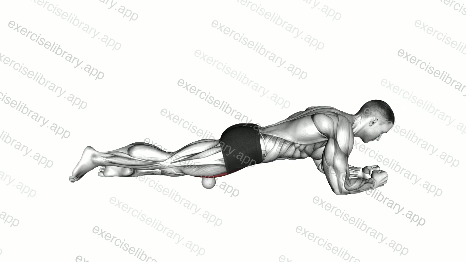Roll Ball Rectus Femoris Stretch demonstration