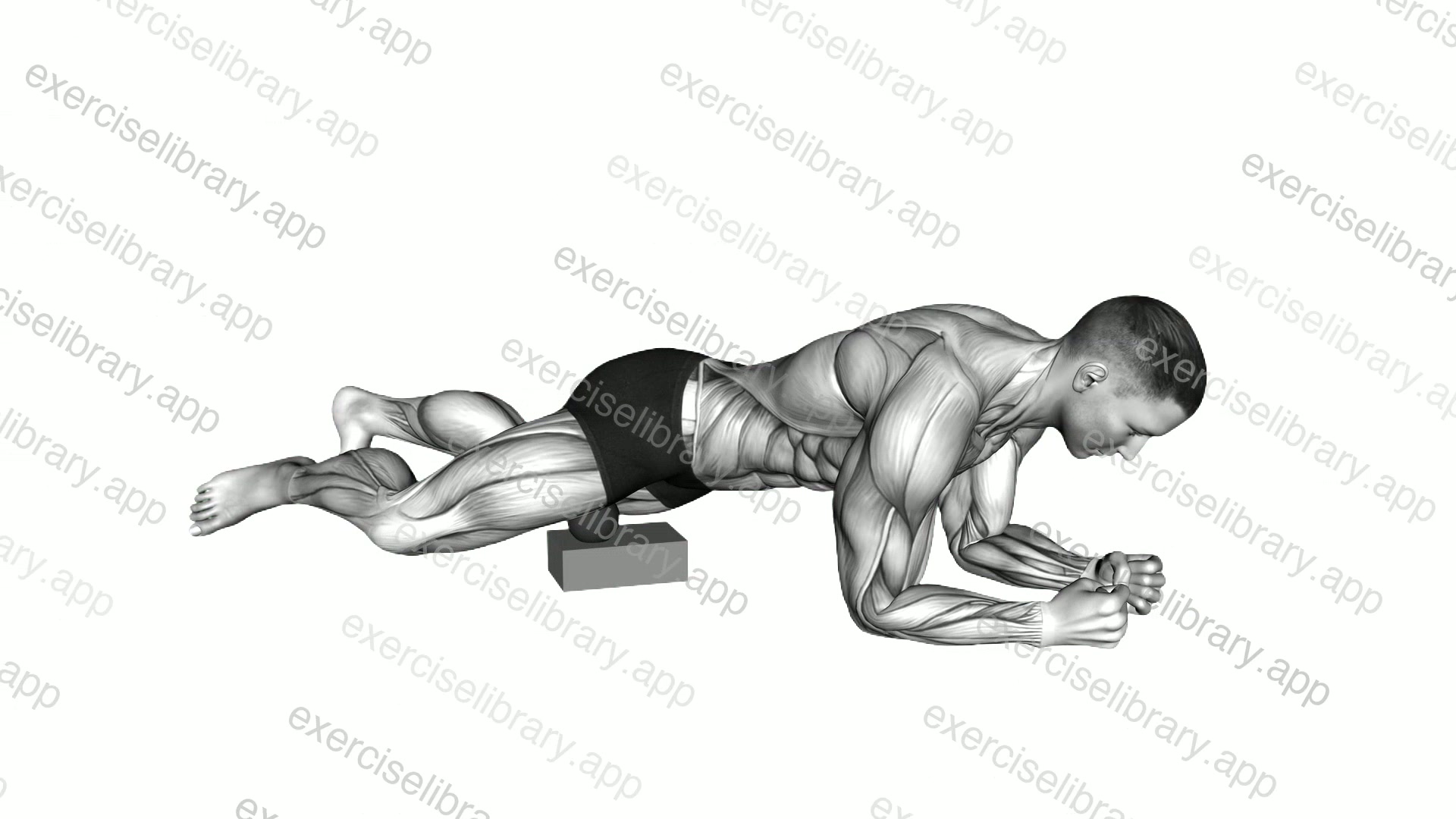 Roll Ball Adductors Stretch demonstration