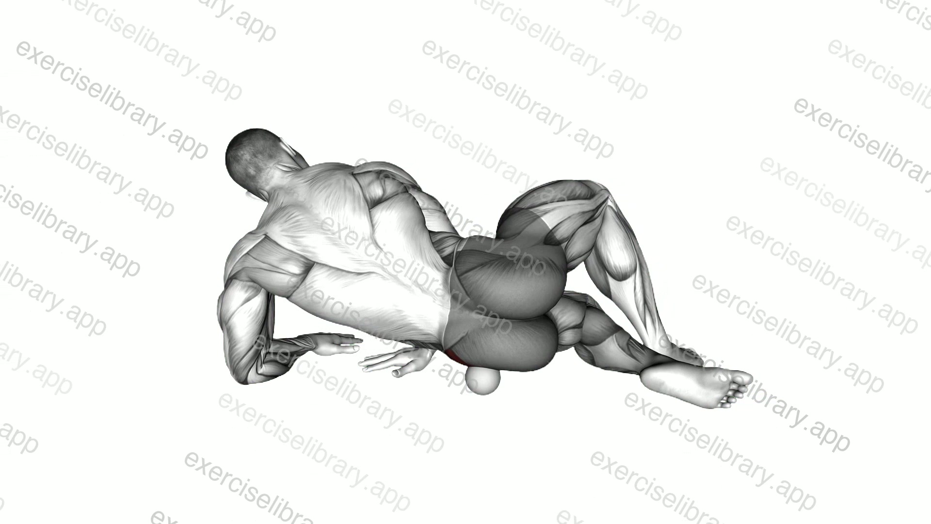 Roll Ball Gluteus Medius demonstration