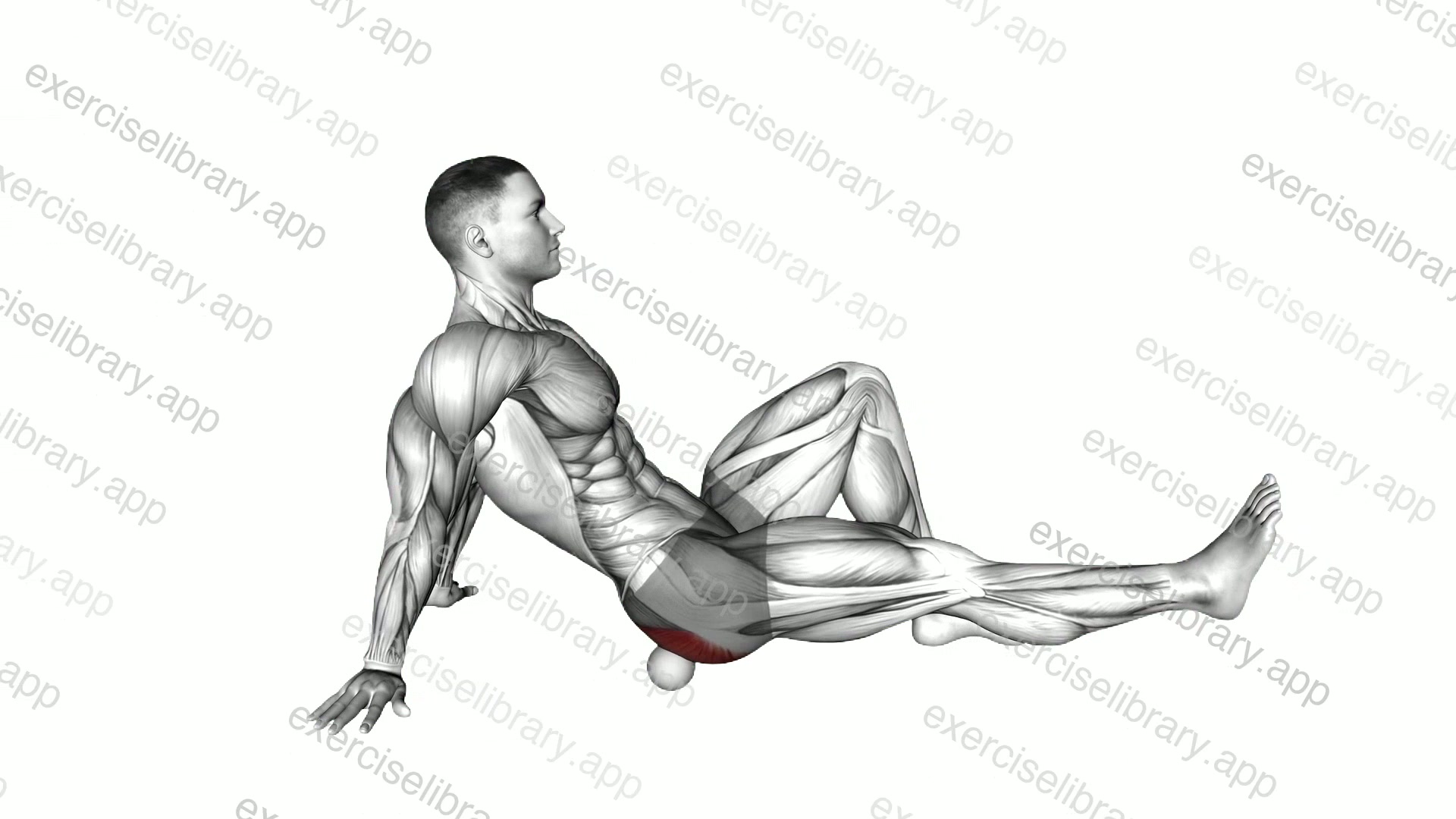 Roll Ball Piriformis demonstration