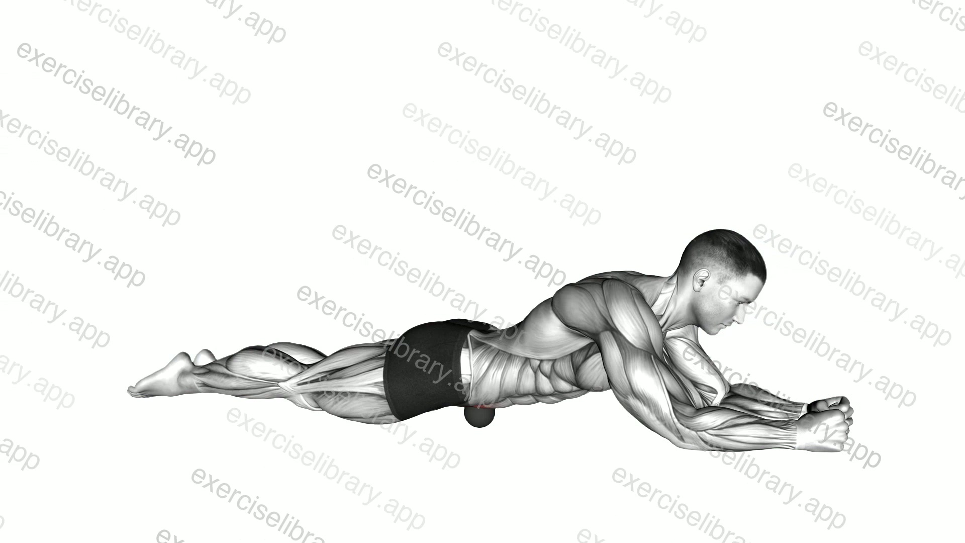 Roll Ball Iliacus   Abdominal Region demonstration
