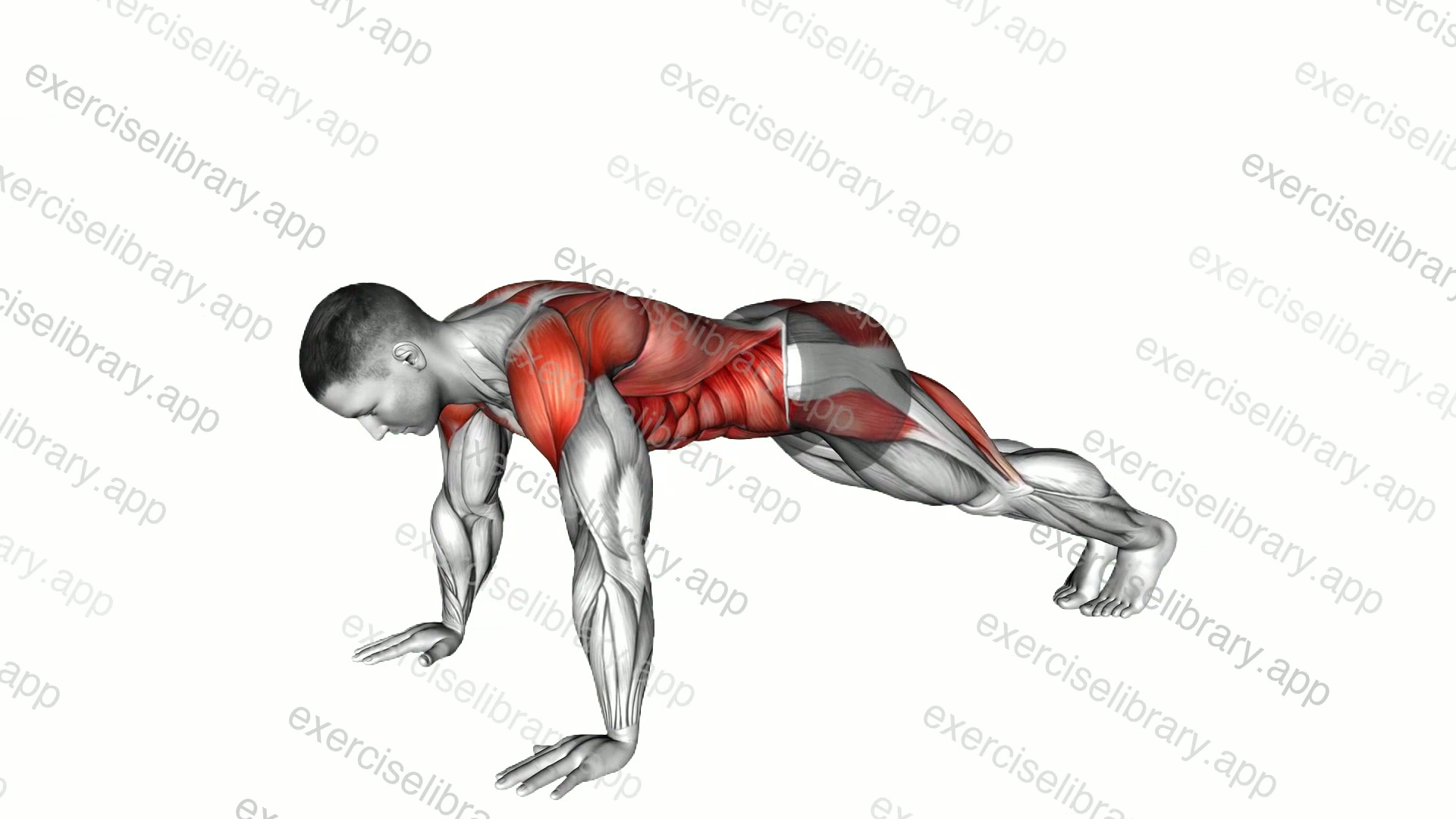 Bodyweight Front Plank to Downward Dog demonstration
