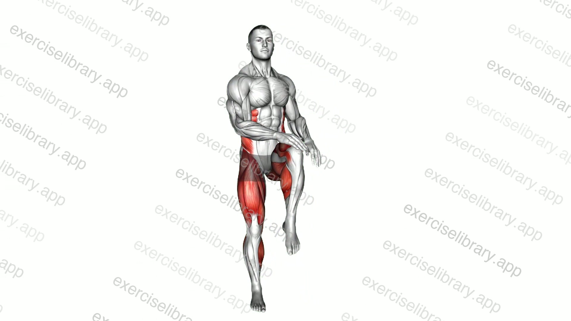 Bodyweight Knee To Hand Tap demonstration