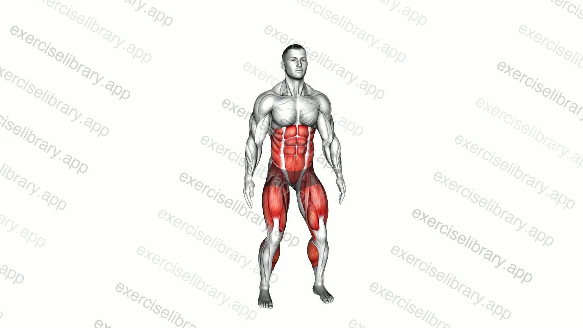 Bodyweight Squat to Side Leg demonstration