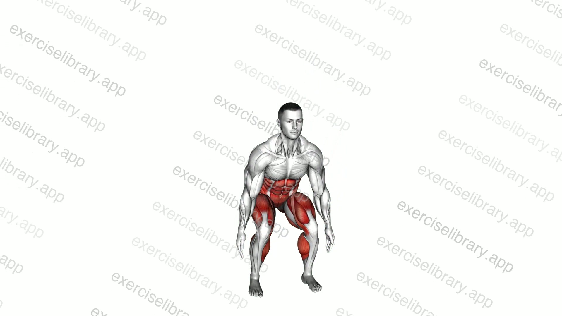 Bodyweight Squat to Front Leg demonstration