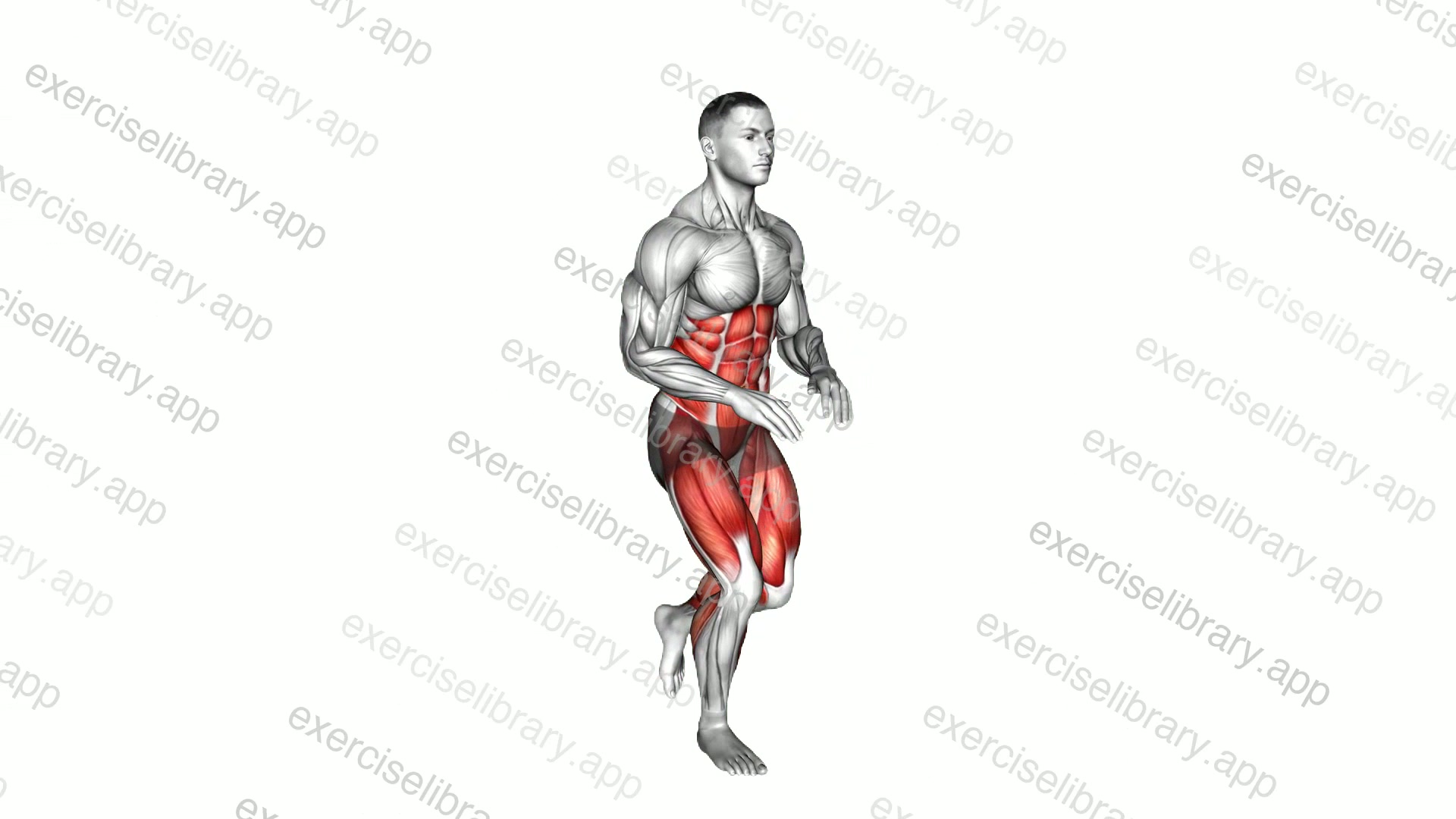 Bodyweight Knee Thrust demonstration