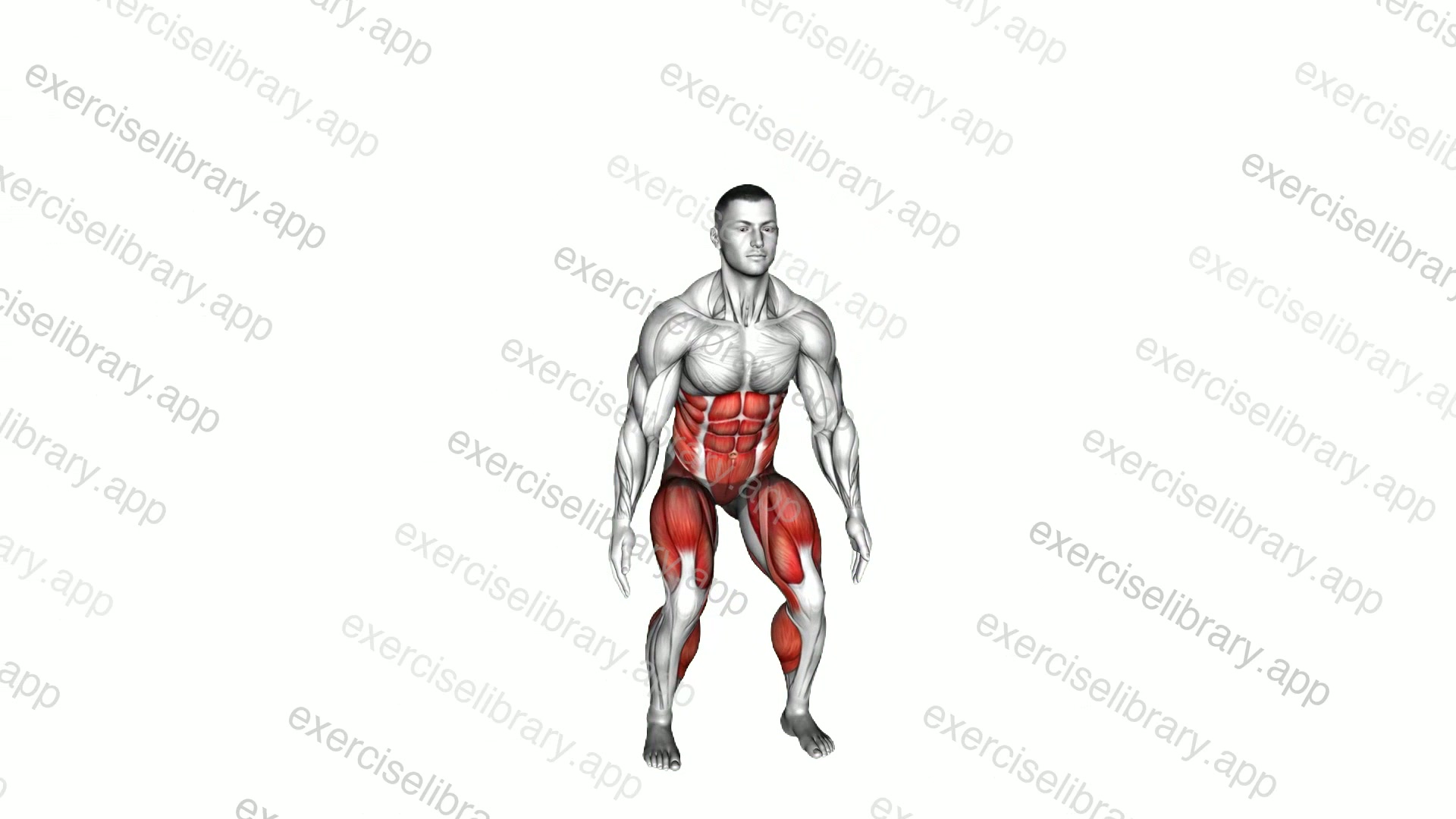 Bodyweight Squat to Side to Front Leg demonstration