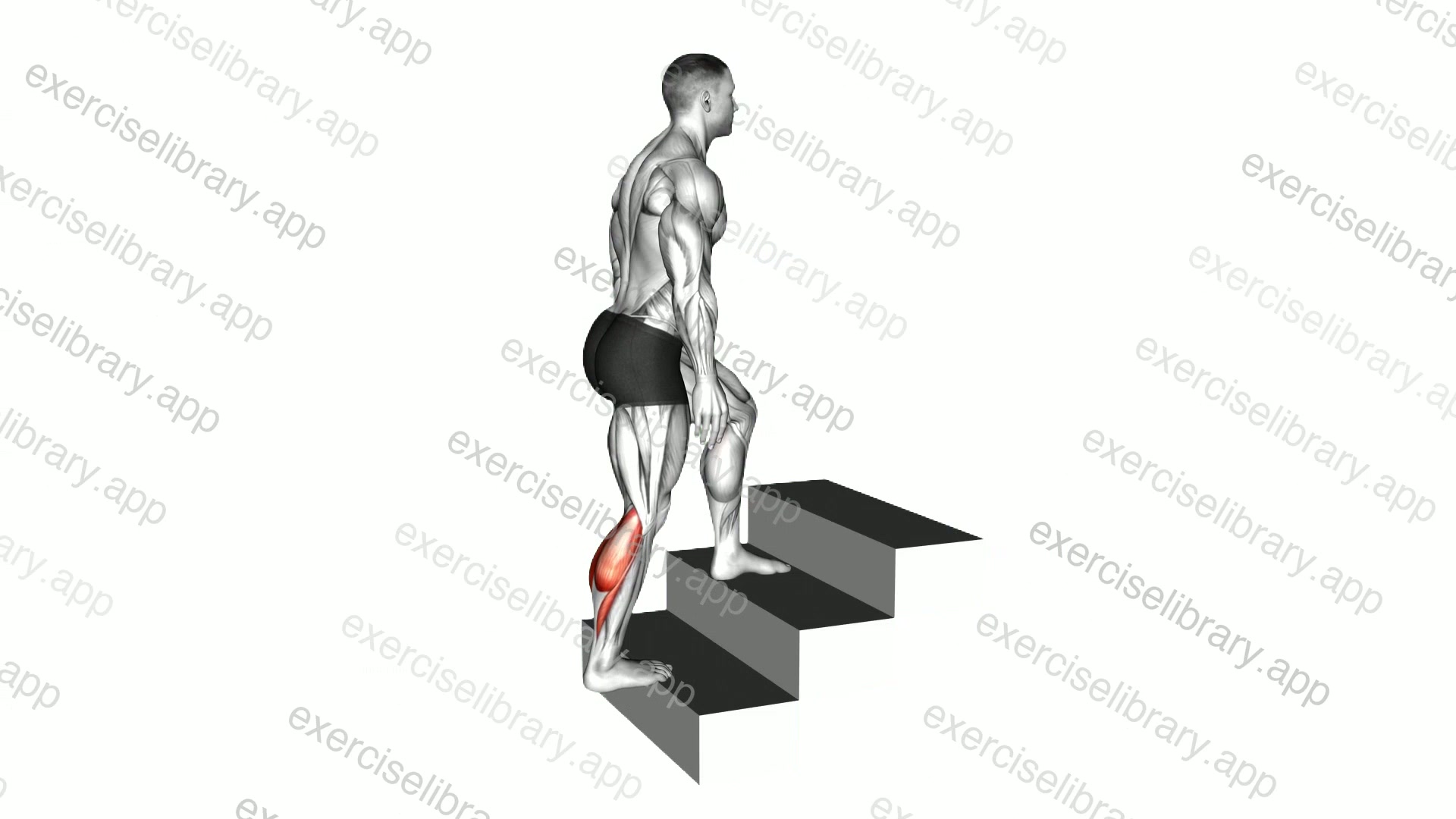 Calves stretch demonstration