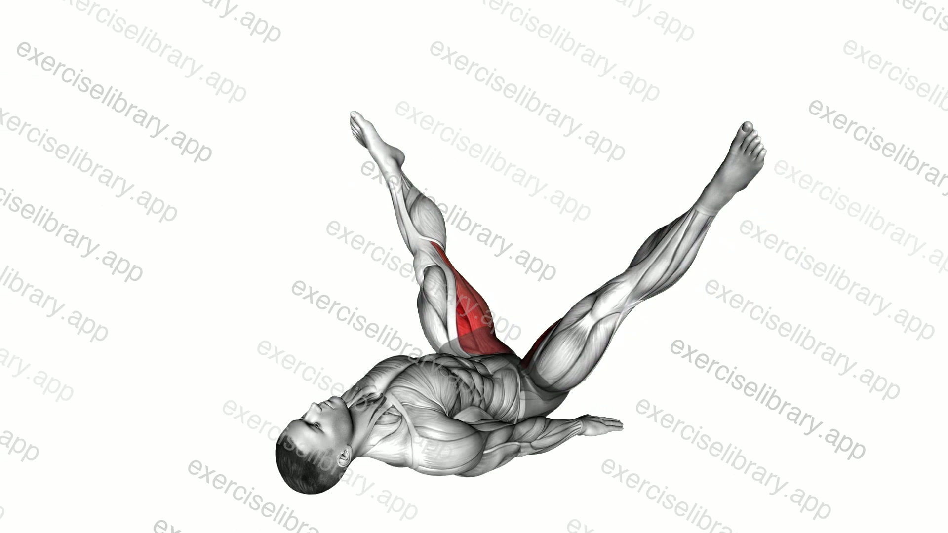 Adductor Stretch demonstration