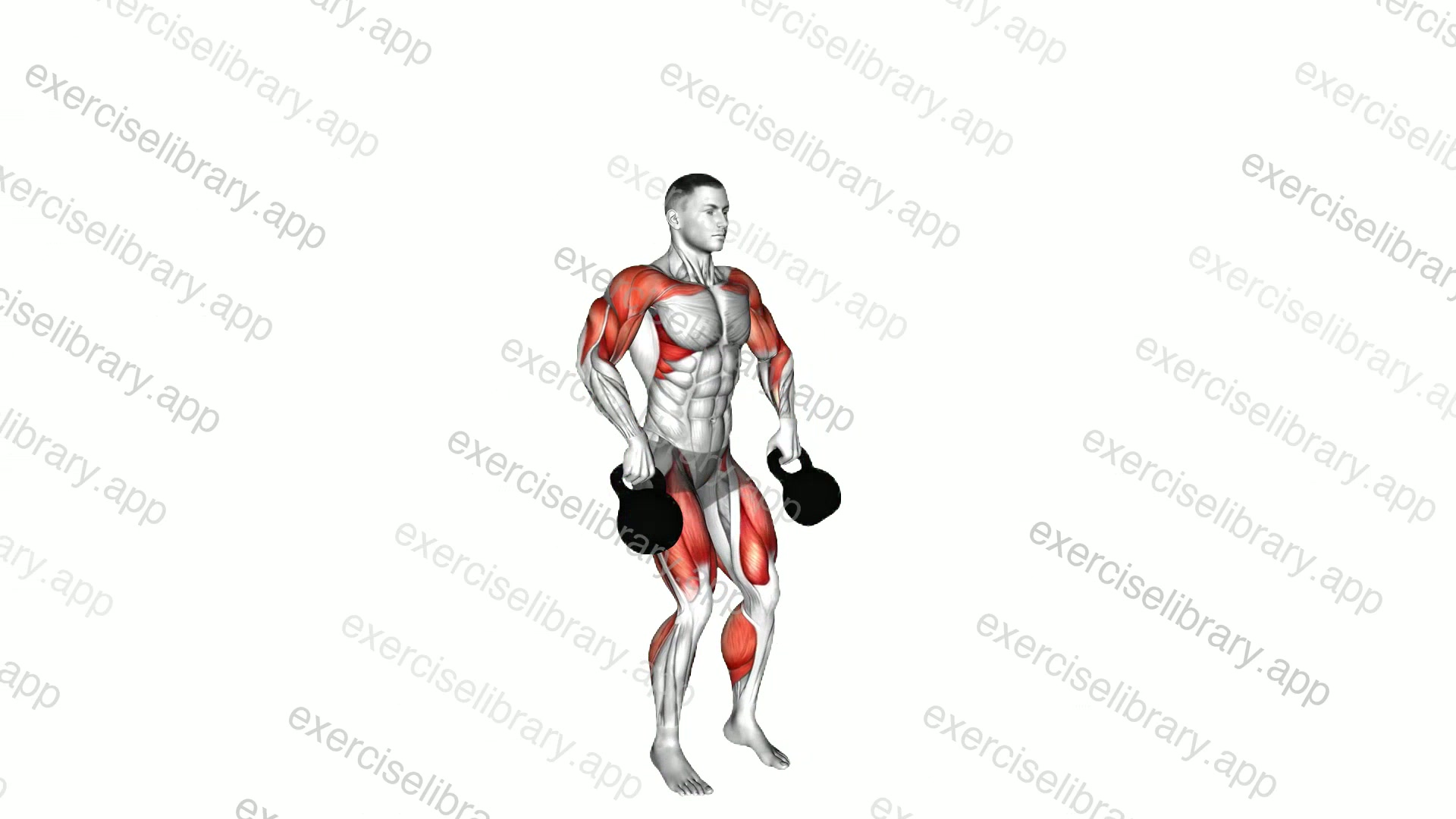 Kettlebell Clean and Jerk demonstration