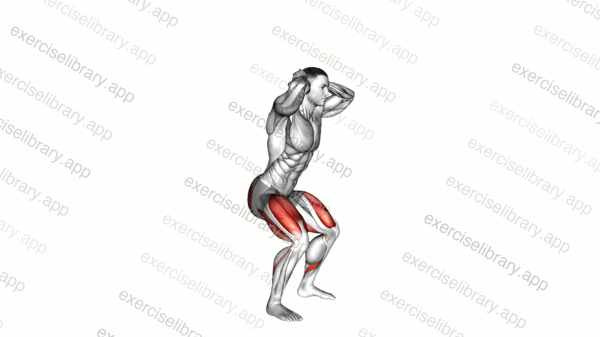 Good Morning Squat demonstration